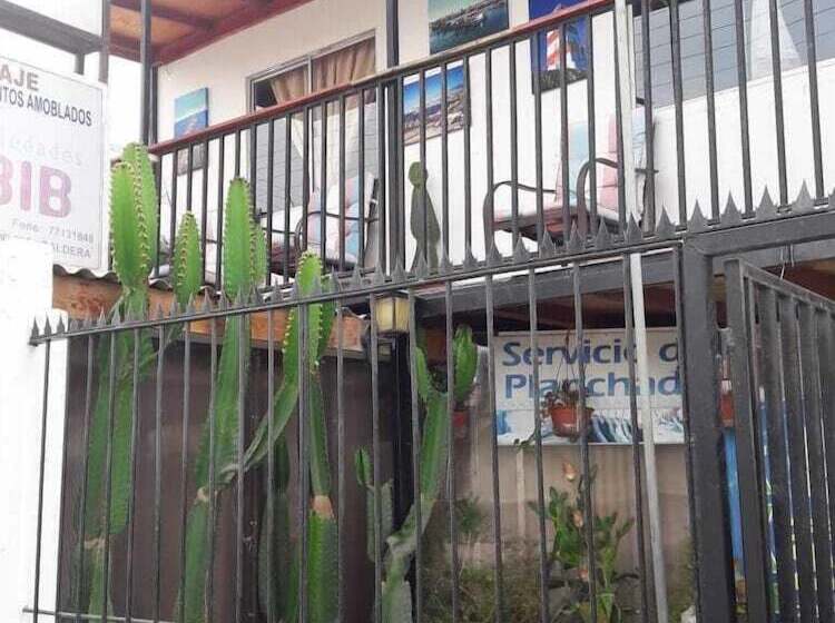 Hostel Cactus