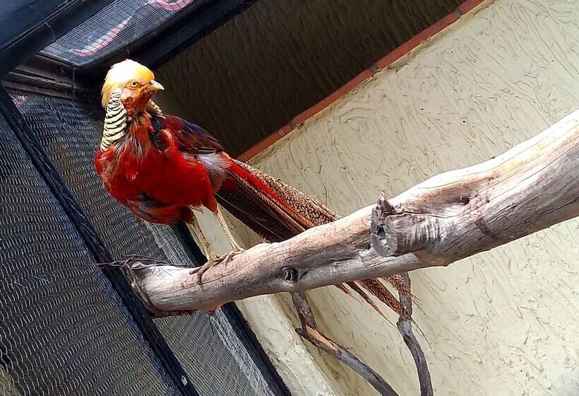 فندق Boutique La Albertina