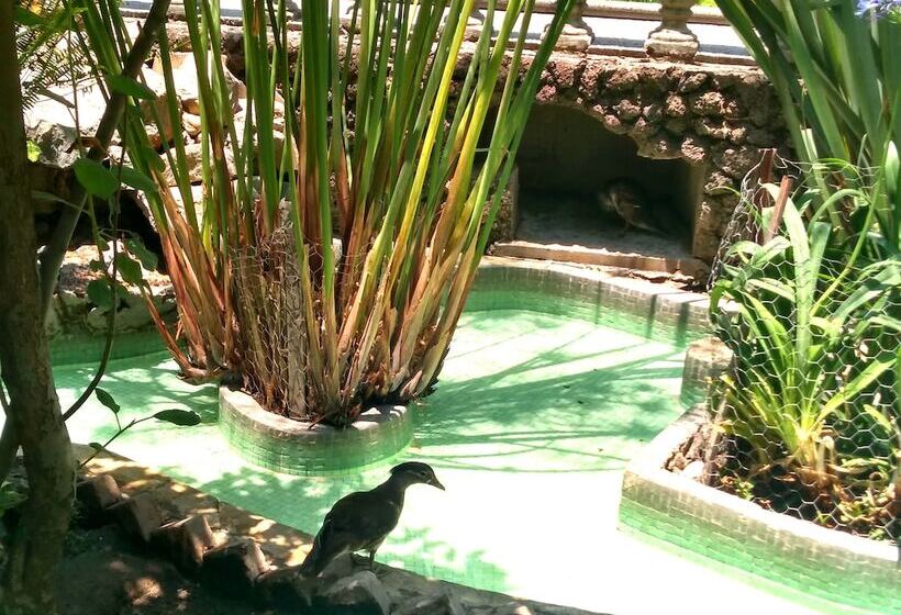 فندق Boutique La Albertina