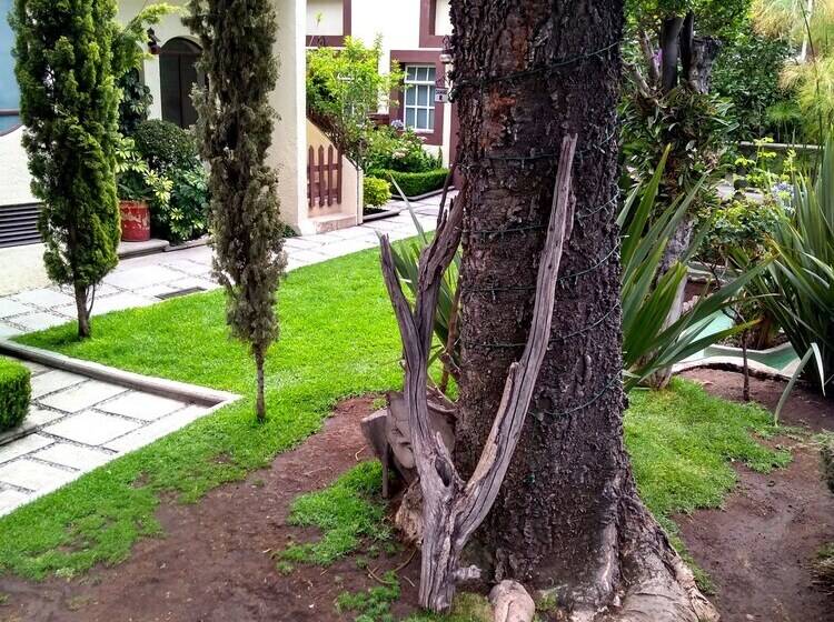 فندق Boutique La Albertina