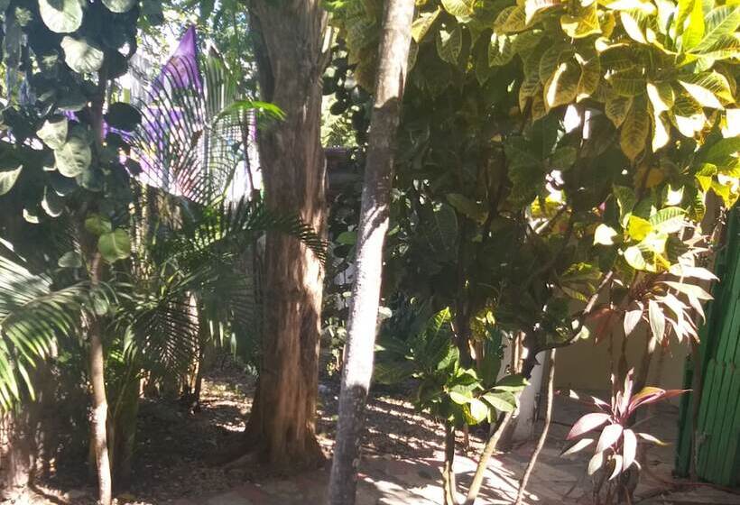 فندق Club Tropical De Los Santos