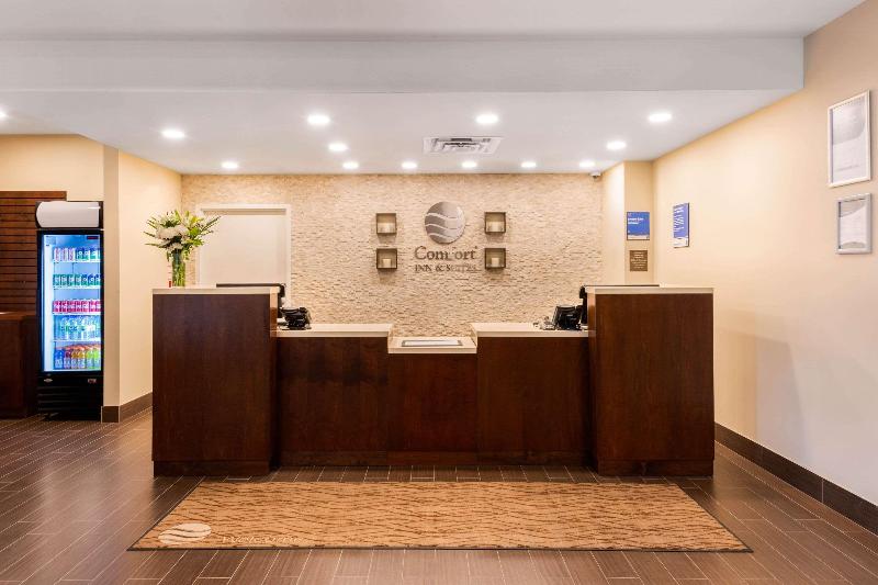 فندق Comfort Inn & Suites