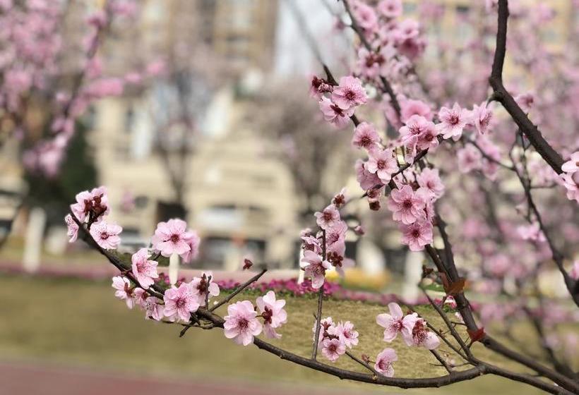 בית מלון כפרי Emei Mountain Xileer