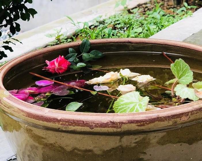 בית מלון כפרי Emei Mountain Xileer