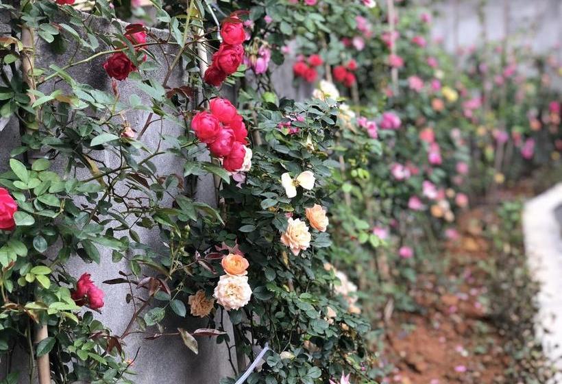 בית מלון כפרי Emei Mountain Xileer