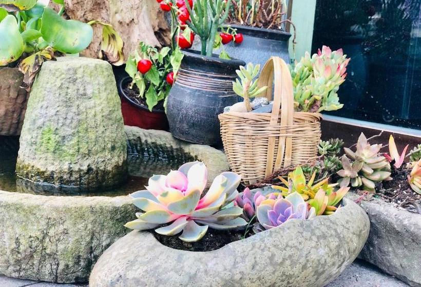 בית מלון כפרי Emei Mountain Xileer