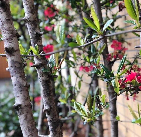 בית מלון כפרי Emei Mountain Xileer