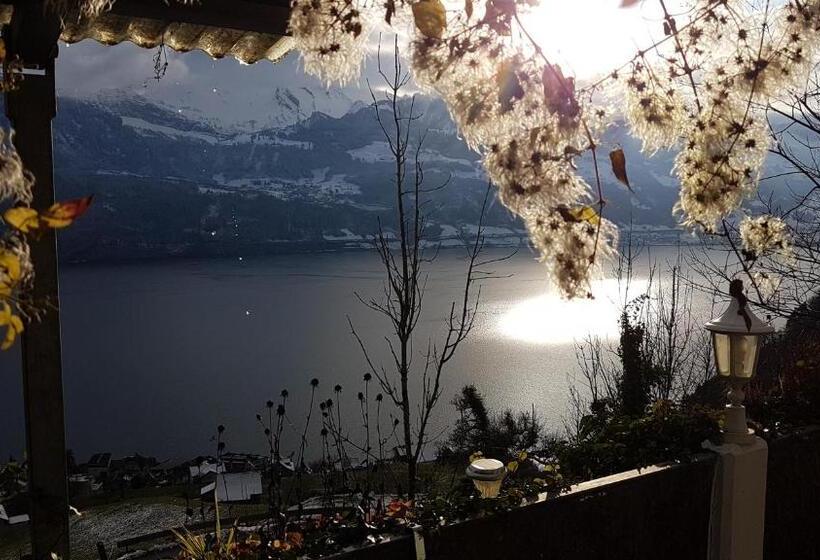 酒店 Gasthaus Platten