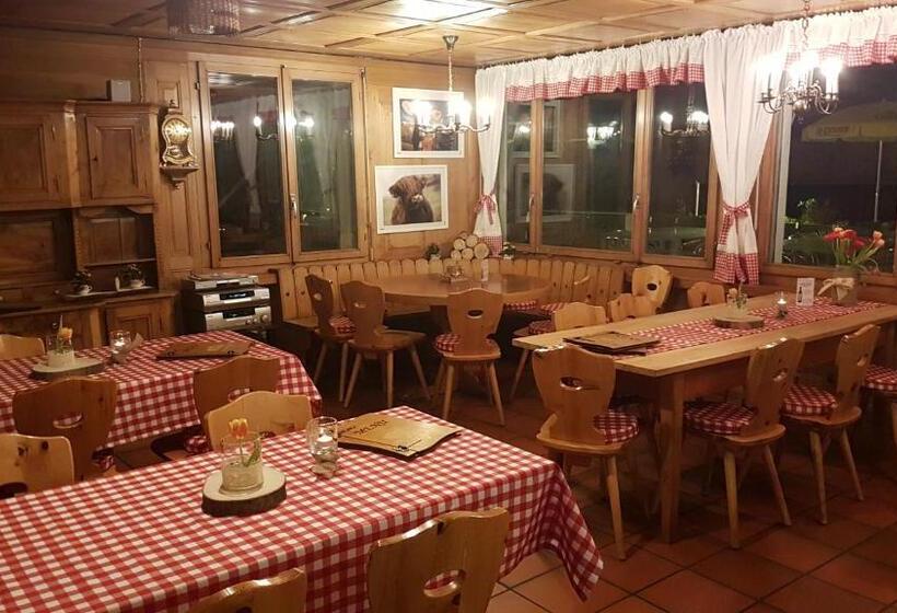 酒店 Gasthaus Platten