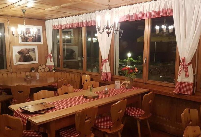 酒店 Gasthaus Platten