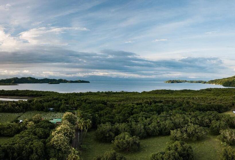 فندق Mapi's Cabins