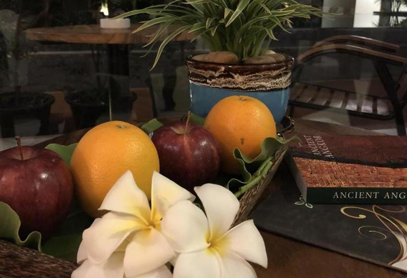 בית מלון כפרי Schein Residence