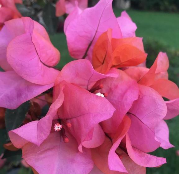 Sierra Central By Chic Hotel Group