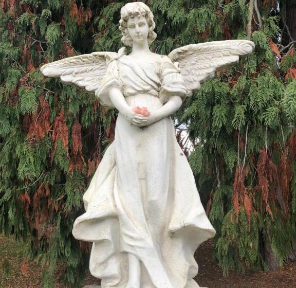 בית מלון כפרי Teschemakers Resort