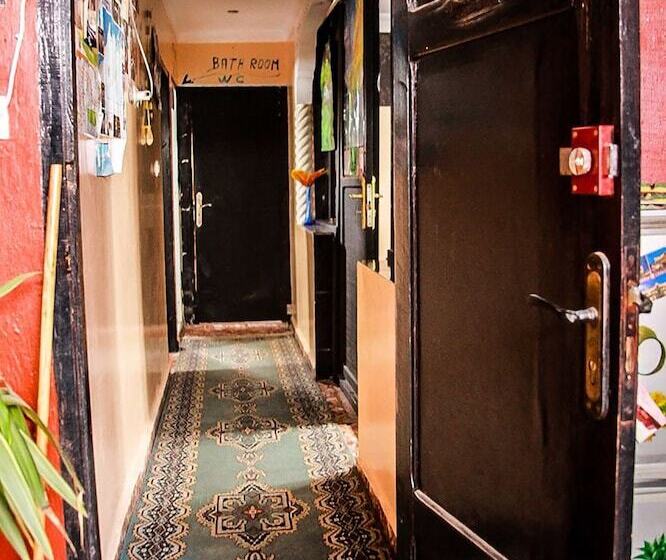 Medina Guesthouse   Hostel