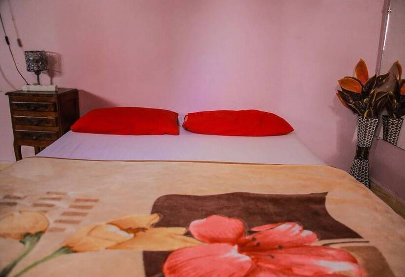 Medina Guesthouse   Hostel