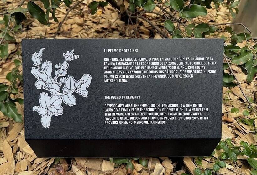 Debaines Hotel Santiago