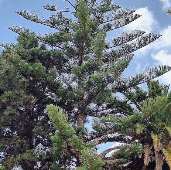 فندق La Casona De Arona