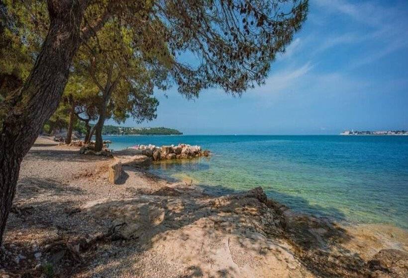 酒店 Punto Blu Valamar Camping Village