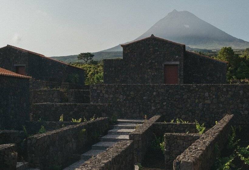 Pico Vineyards by Unlock Hotels