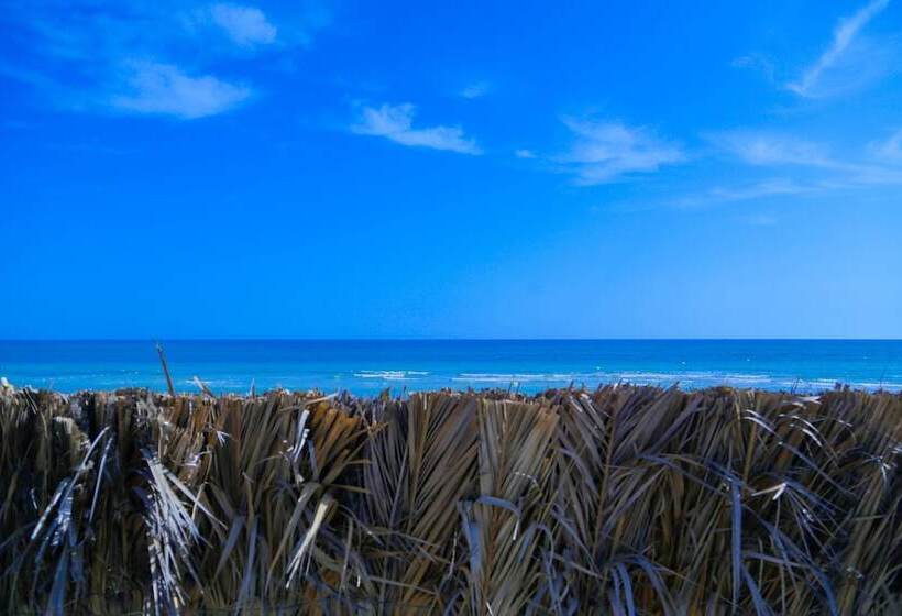 ホテル Aljazira Beach & Spa Families And Couples Only