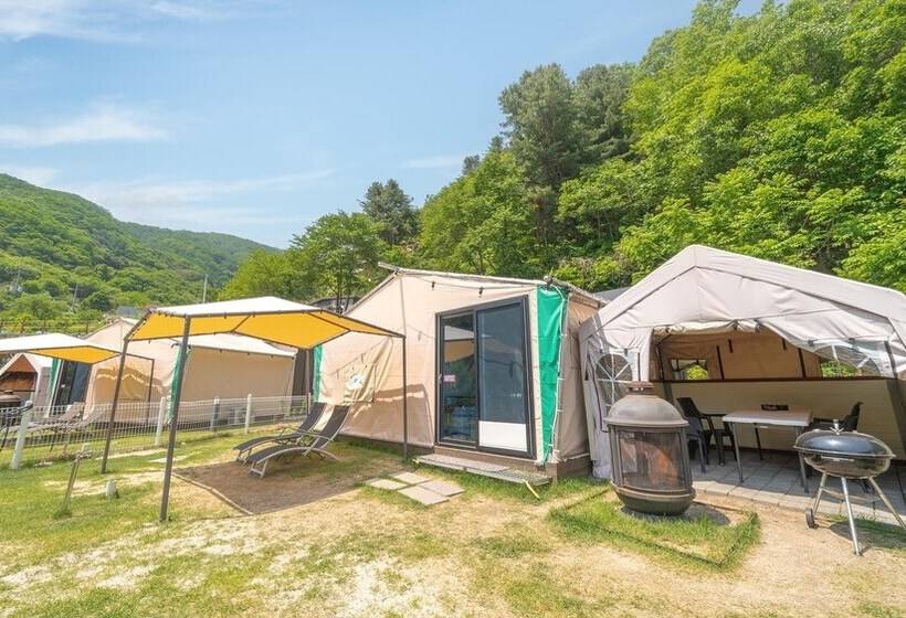 펜션 Gapyeong Camp With Pet & Aegyeonglamping