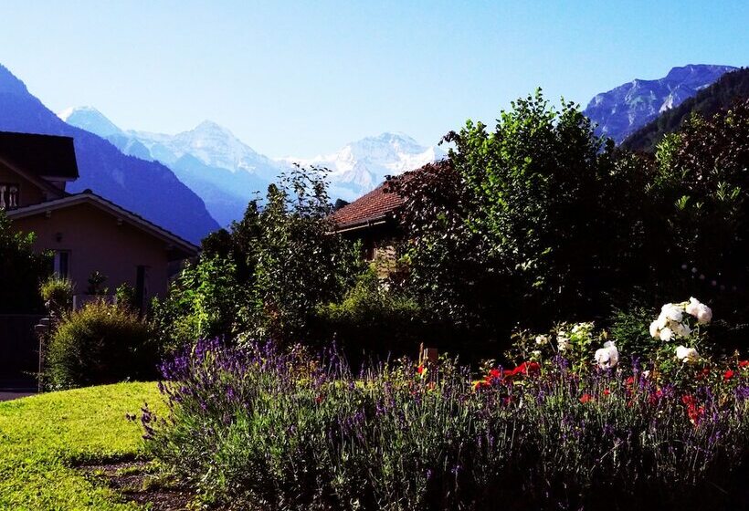 Adventure Hostel Interlaken