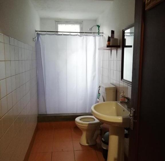 فندق صغير The Base Backpackers