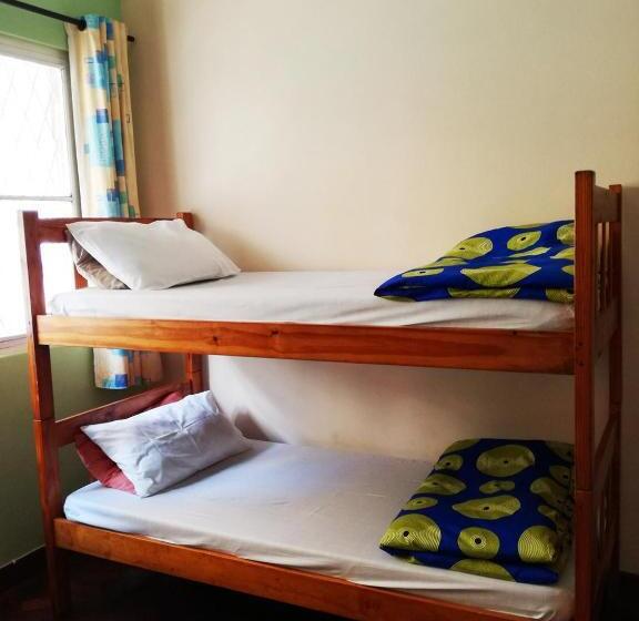 فندق صغير The Base Backpackers