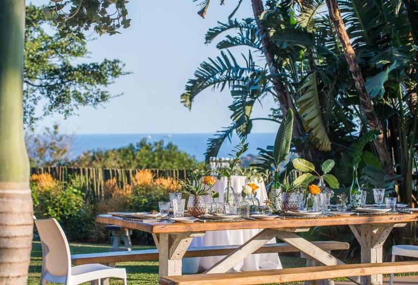 Bed and Breakfast Kingsley House Chalet