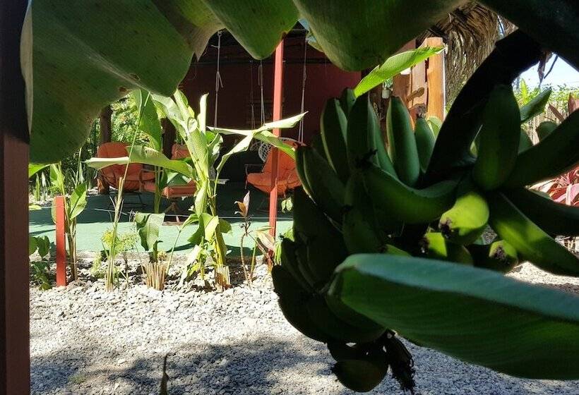 住宿加早餐  Mi Vida Lodge