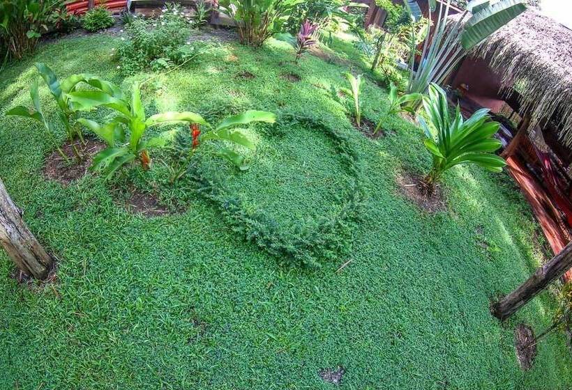 住宿加早餐  Mi Vida Lodge