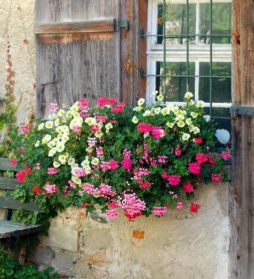 Отель Adler Oberdorf