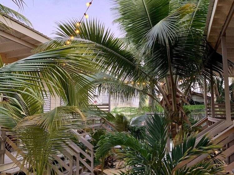 בית מלון כפרי Dreamcabanas