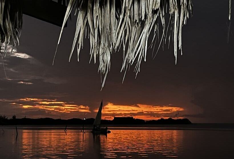 בית מלון כפרי Dreamcabanas