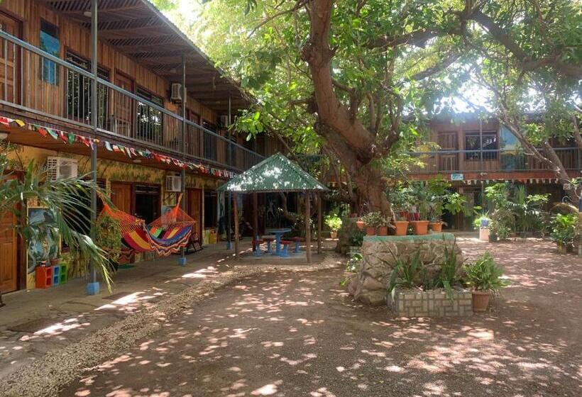 فندق Hostalito El Greco