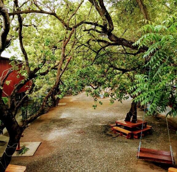 فندق Hostalito El Greco