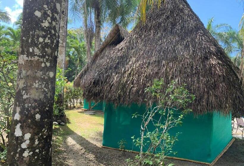 Отель Mal Pais Surf Camp