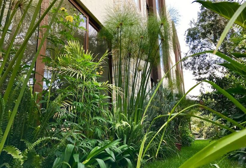 Ilalo Garden Hotel & Restaurant