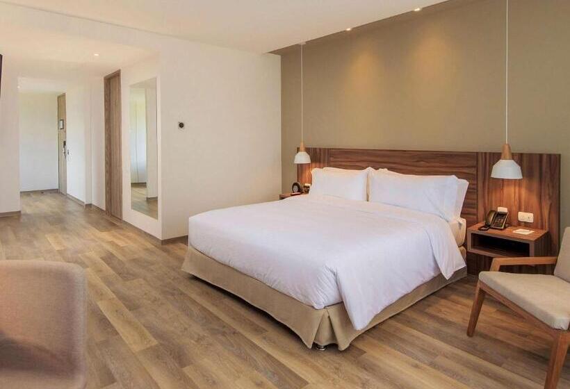 Novotel Medellin El Tesoro