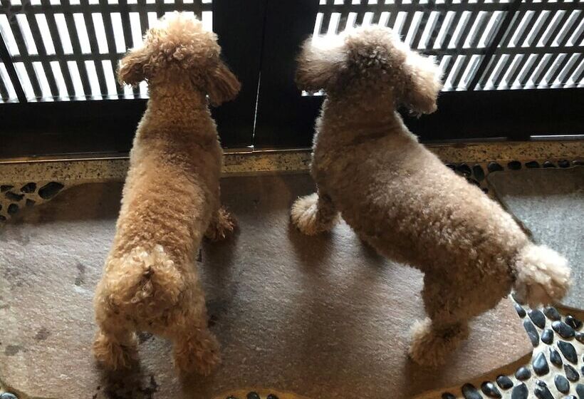 旅館 Matsushima Koumura