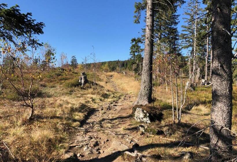 Wellnesshotel Riedlberg