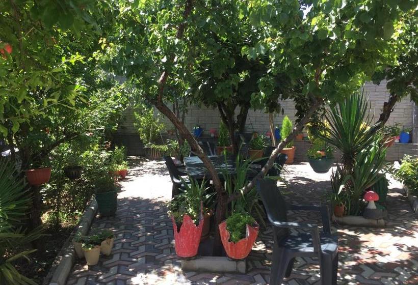 Общежитие Ortachala Summer House