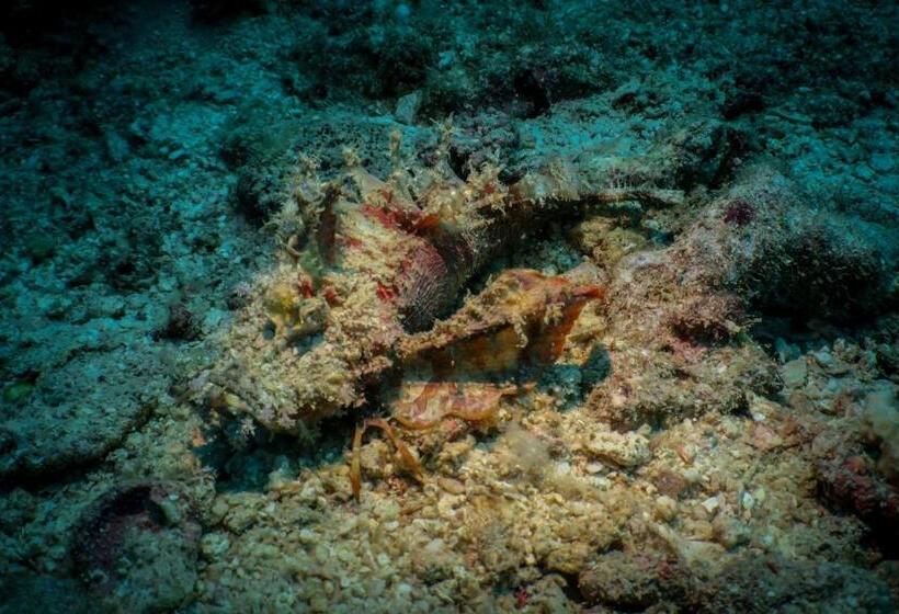 Aman Tioman Beach Resort