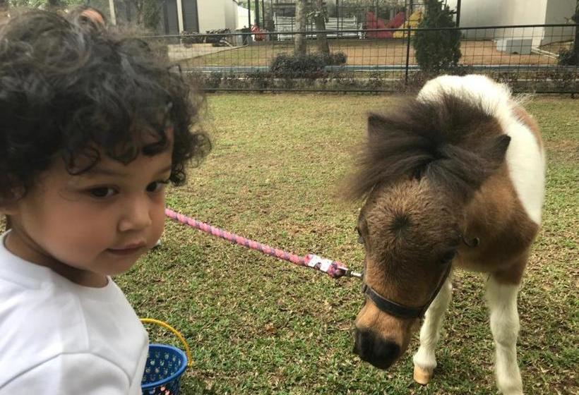 Apm Equestrian Resort