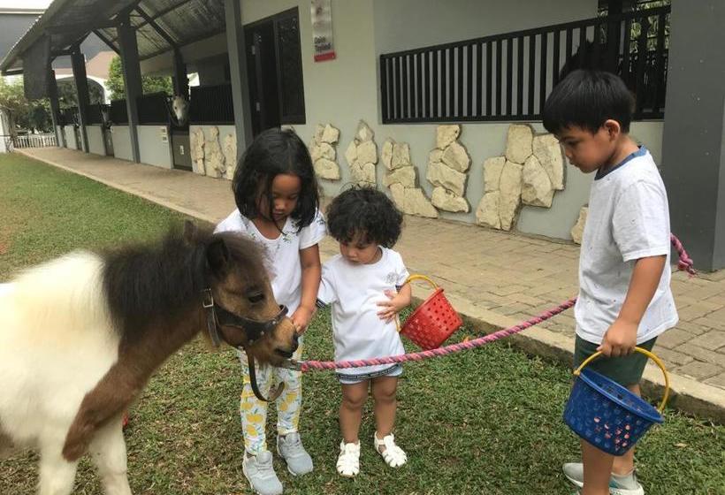 Apm Equestrian Resort