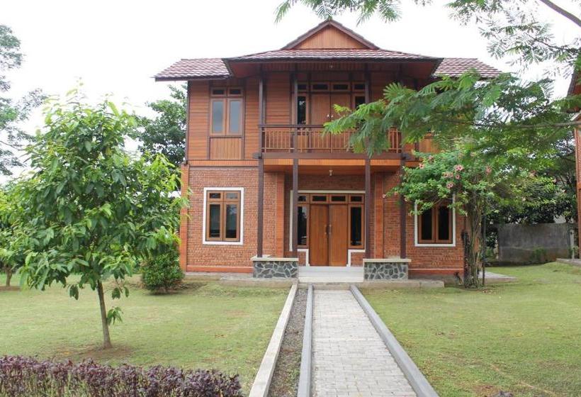 Apm Equestrian Resort