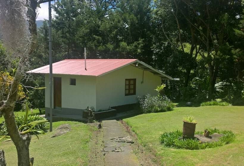 ホテル Cabañas Dr. Rivera