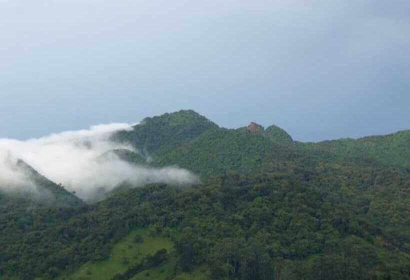 ホテル Cabañas Dr. Rivera