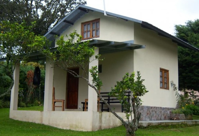 ホテル Cabañas Dr. Rivera